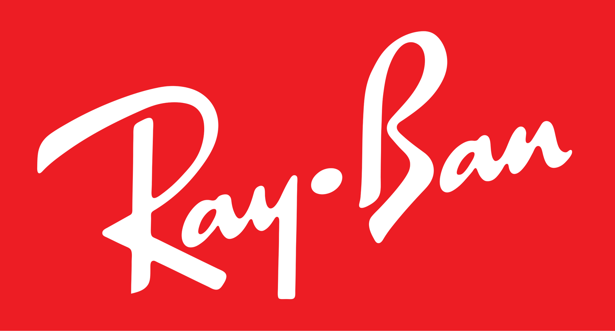 Raybans